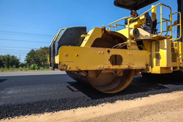 Best Professional Driveway Pavers  in Lake Delta, NY